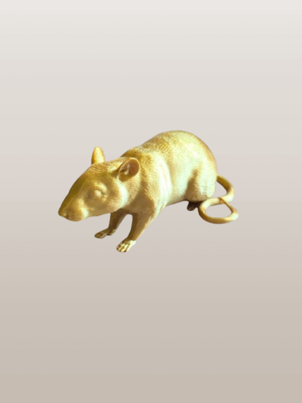 Urne Lyrova pour cochon d’Inde