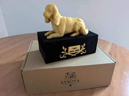 Cavalier King Charles (-25Kg)