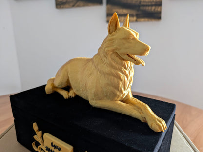 Berger Allemand (-25Kg)