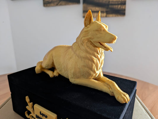 Berger Allemand (-25Kg)