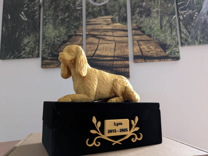 Cavalier King Charles (-25Kg)