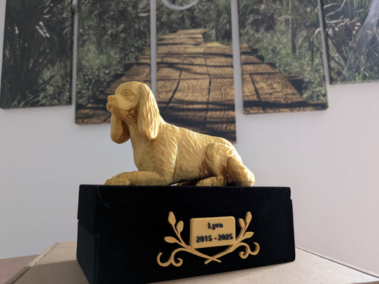 Cavalier King Charles (-25Kg)